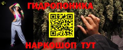 стафф Аргун