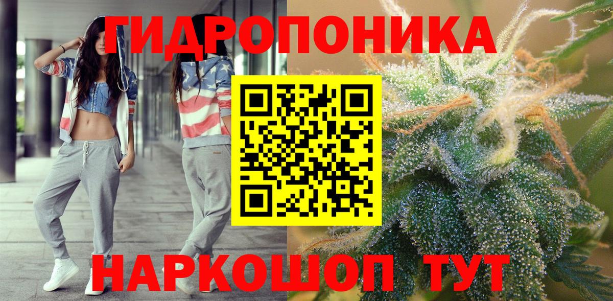 Бошки марихуана OG Kush Ачхой-Мартан